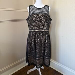 Eliza J Black Lace Overlay Dress Size 14 Formal Wedding $178 retail